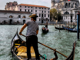 Productie &raquo; Gondoliers 2026